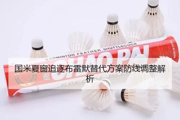 国米夏窗追逐布雷默替代方案防线调整解析