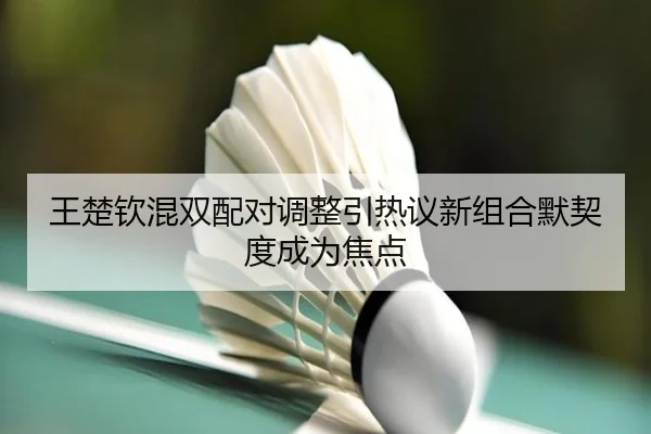 王楚钦混双配对调整引热议新组合默契度成为焦点